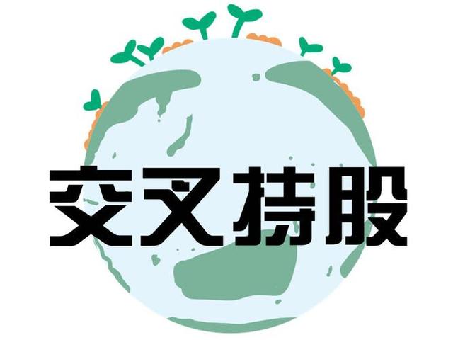 交叉持股安排设计(交叉持股怎么计算持股比例)运城市